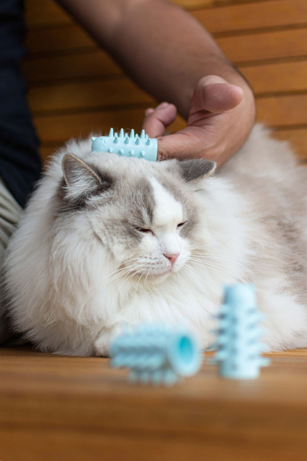 Furr&Purr cat brush set massager on cat's head supports soothing relaxation.