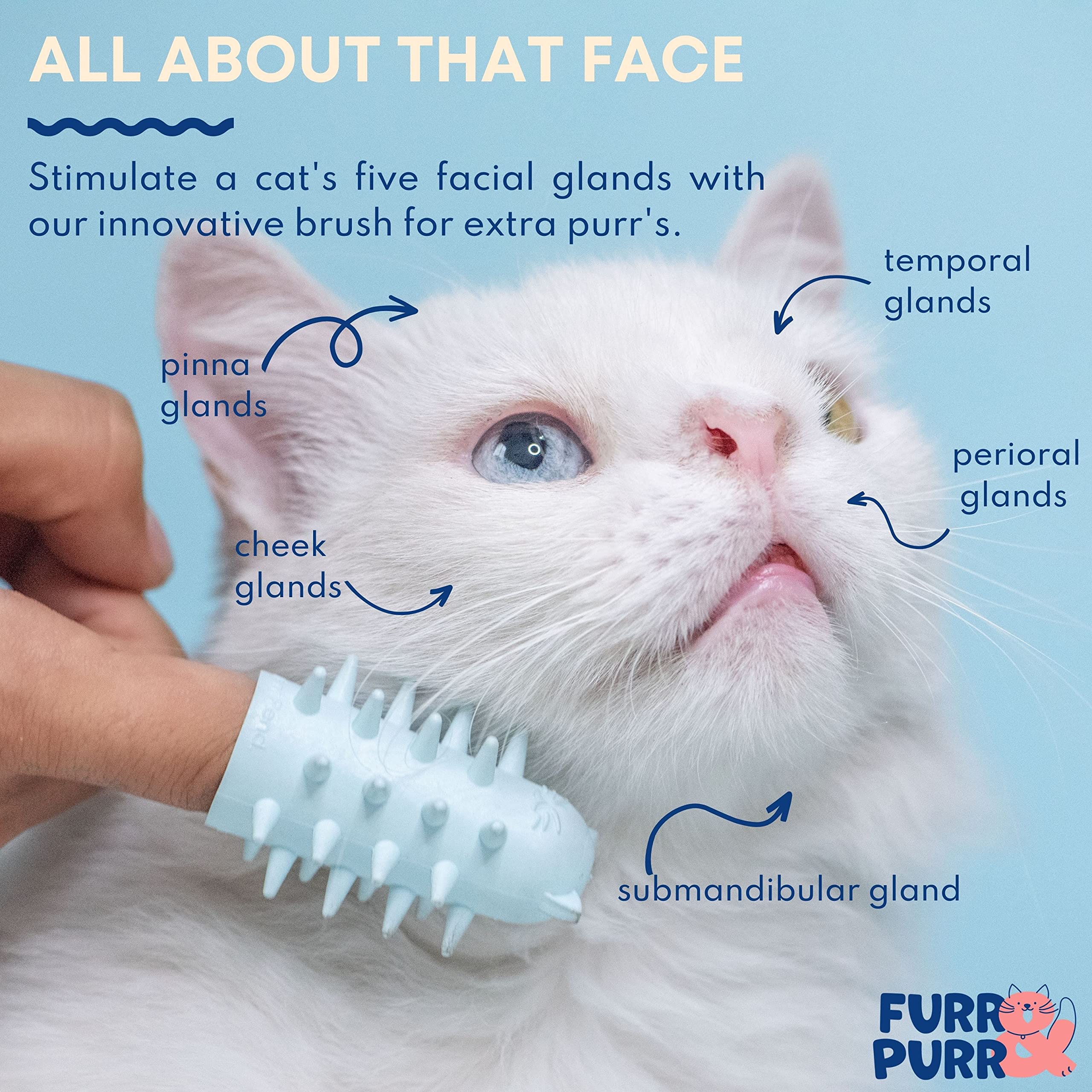 Furr&Purr cat brush set soft-bristle finger brush removes loose hair gently.