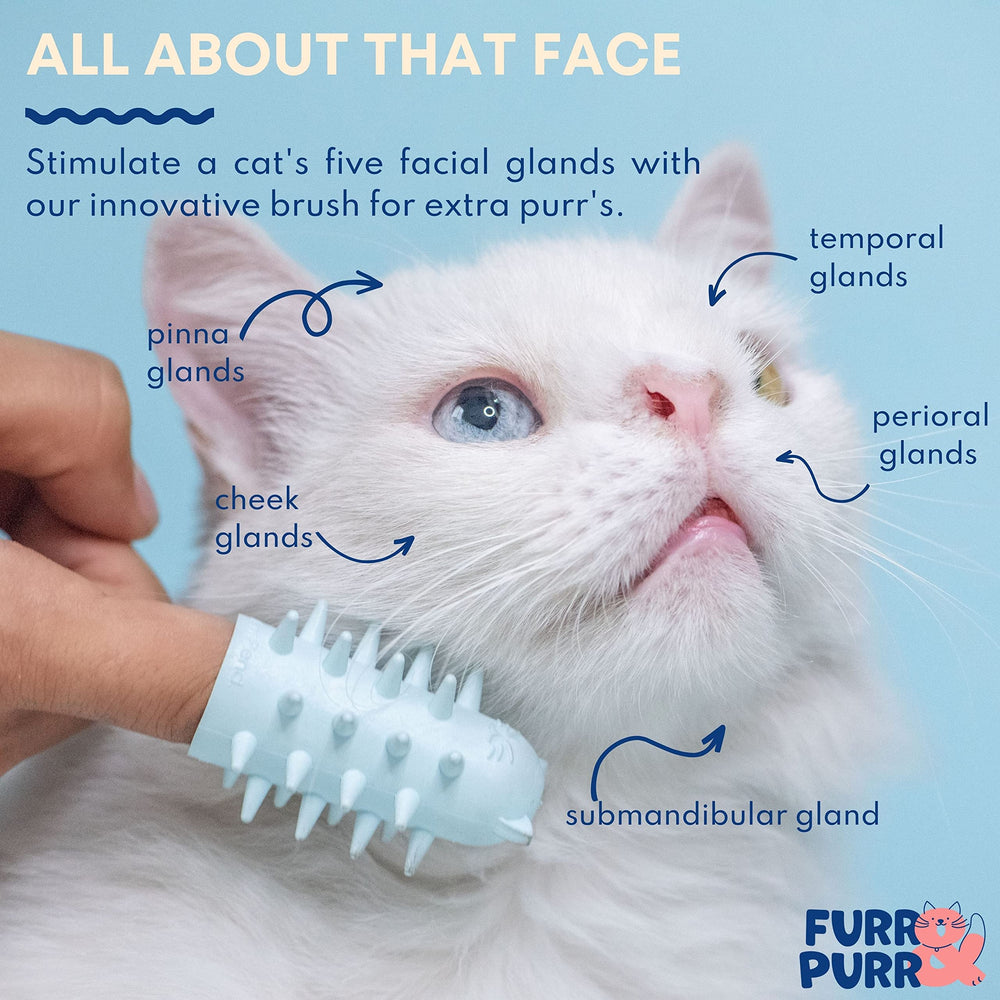 Furr&Purr cat brush set soft-bristle finger brush removes loose hair gently.