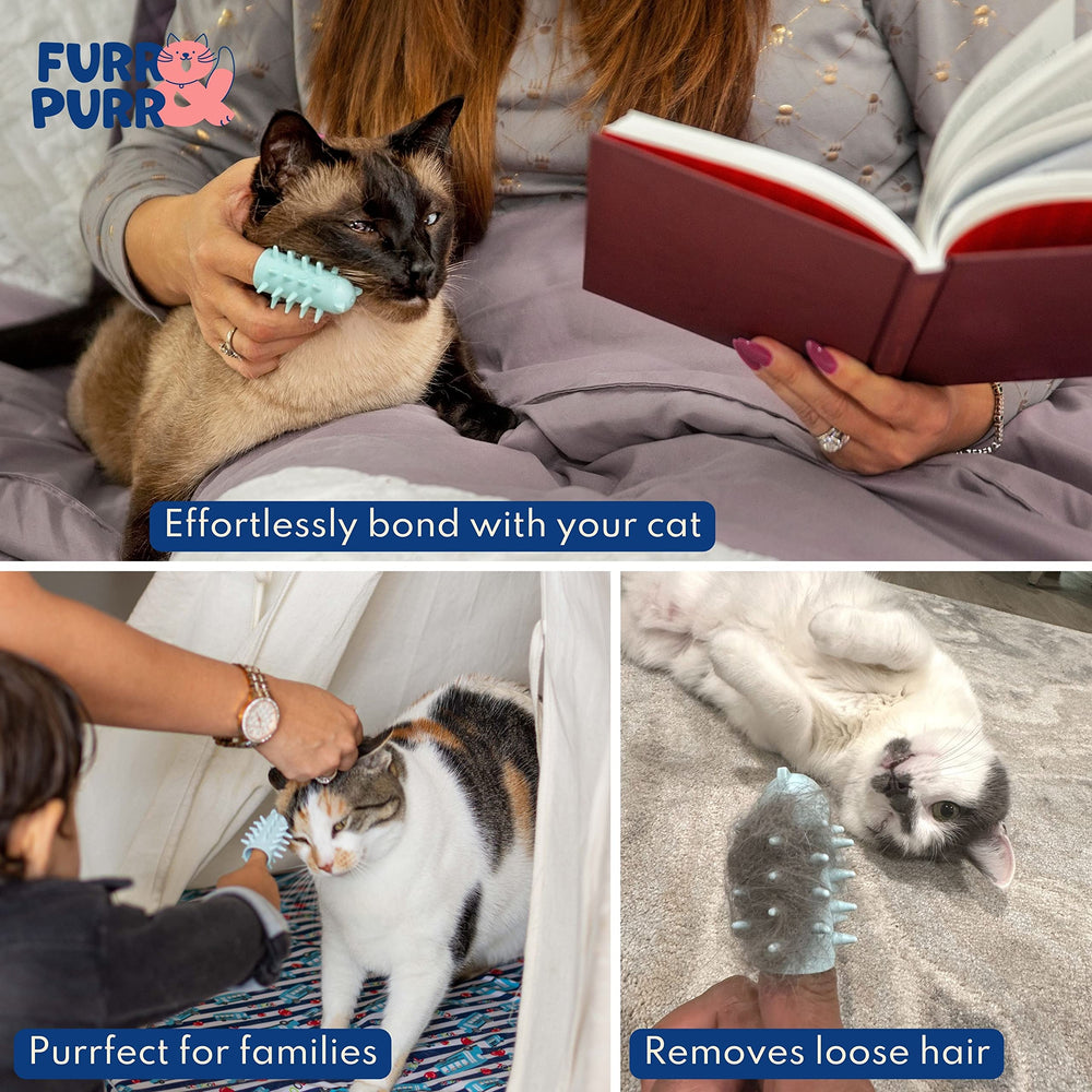 Furr&Purr cat brush set bonding moment during routine grooming sessions.