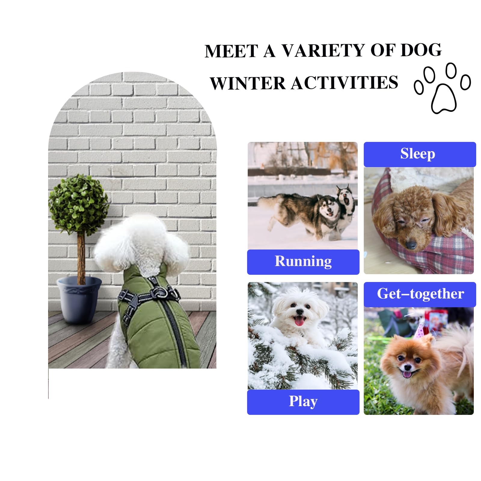 Furry King seven-color options image emphasizes vibrant style for every dog personality.