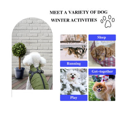 Furry King seven-color options image emphasizes vibrant style for every dog personality.