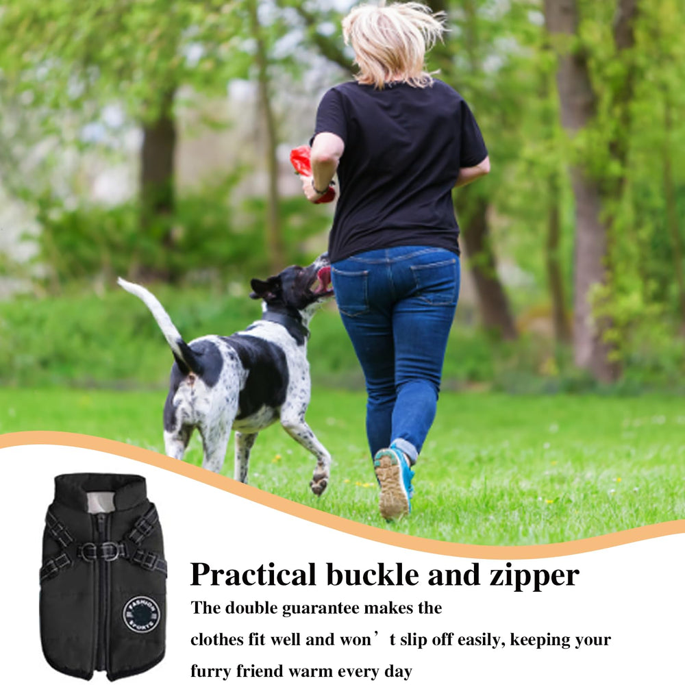 Furry King leash-hole and straps image demonstrates secure outdoor access and freedom of movement.
