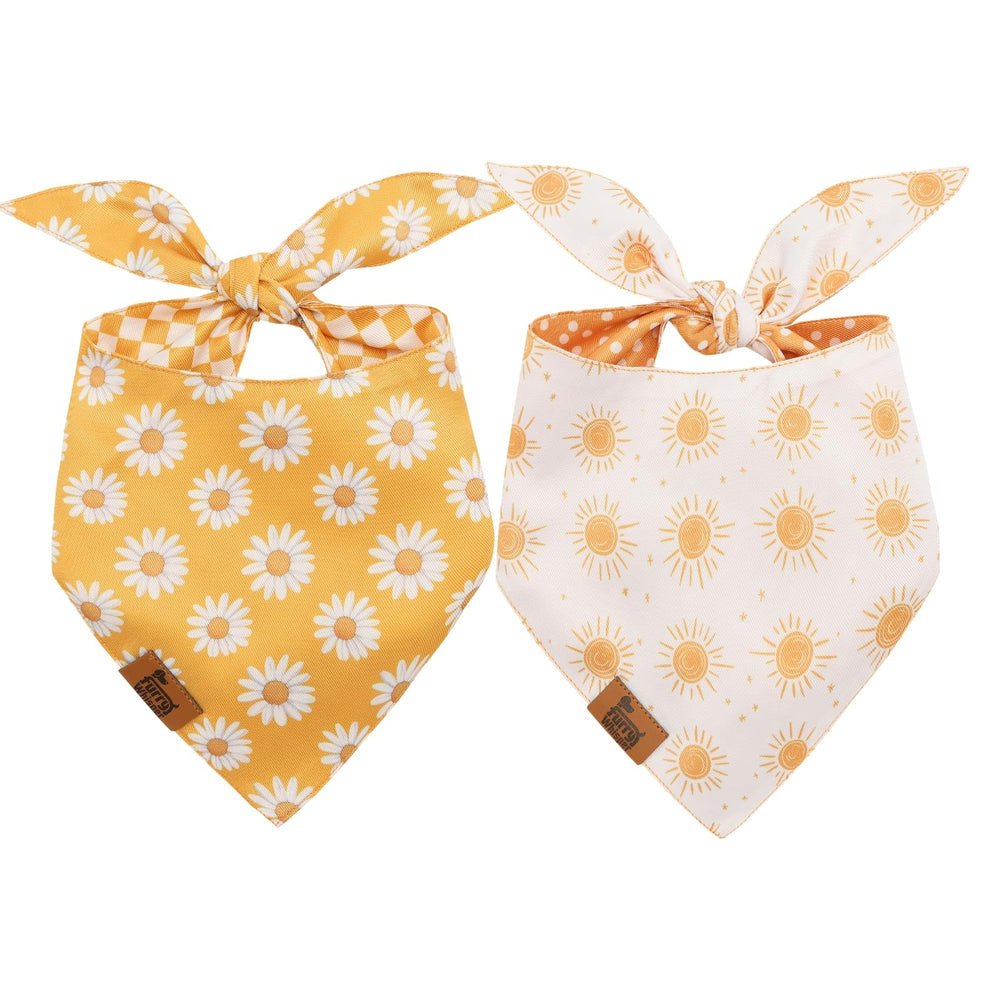 Furry Whisper summer dog bandana—yellow daisy close-up, breathable comfort for warm days.
