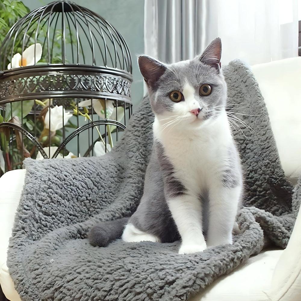 FurryBaby blanket bed-kennel-warmth adds a soft layer for pets