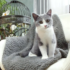 FurryBaby blanket bed-kennel-warmth adds a soft layer for pets
