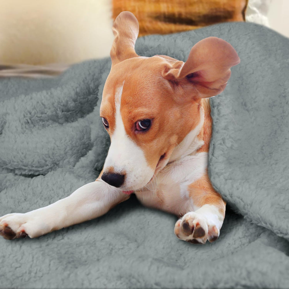 furrybaby blanket covering dog bed and crate, versatile use for resting spaces.