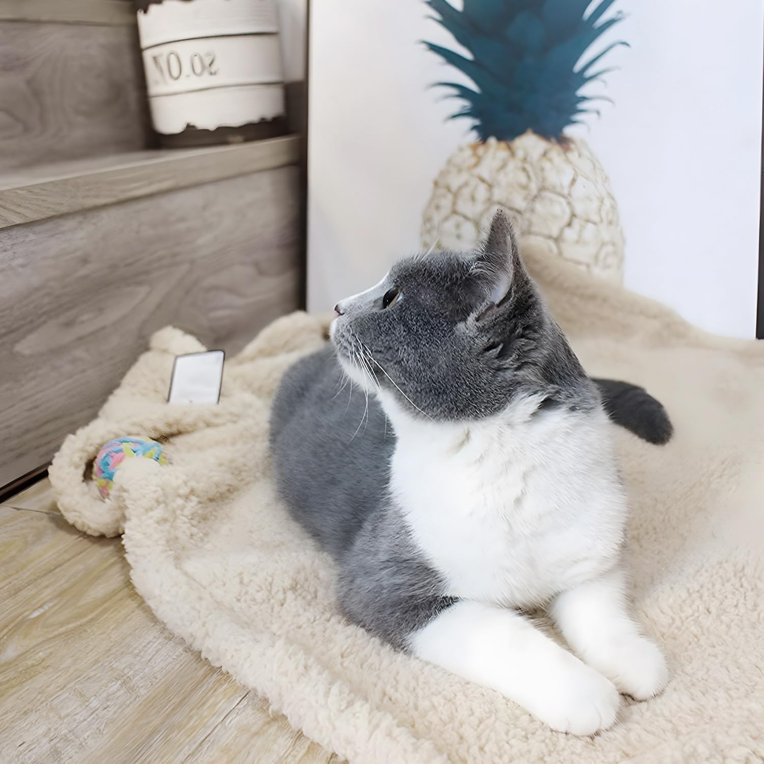 Furrybaby blanket on a sofa protecting furniture from pet hair and scratches.