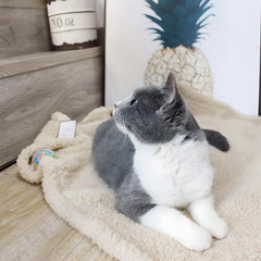 Furrybaby blanket on a sofa protecting furniture from pet hair and scratches.