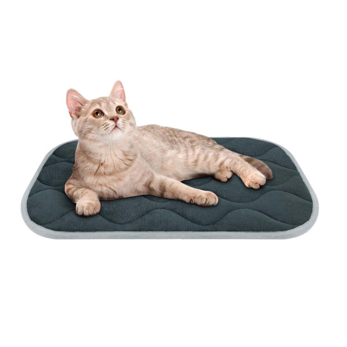 furrybaby dog bed mat with anti-slip bottom keeps crates steady and safe