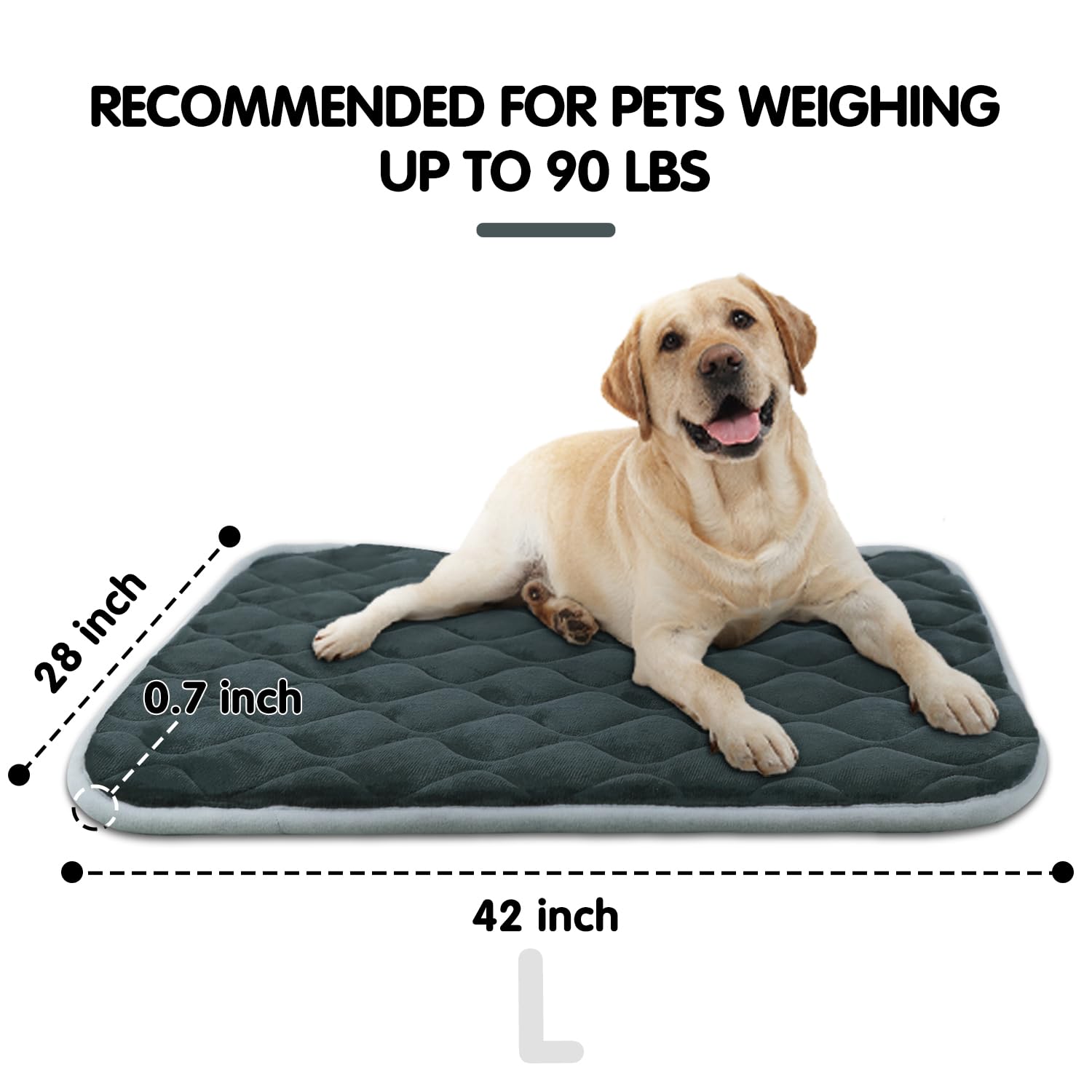 furrybaby dog bed mat measures 42x28 inches fits 42 inch crates