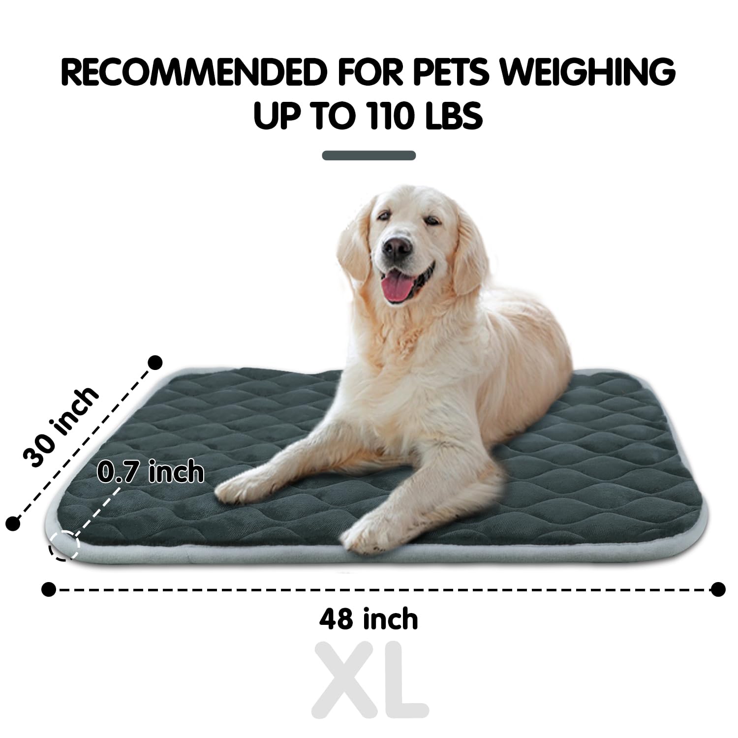 FurryBaby dog bed mat XL 48x30 inches in grey fits large crates.