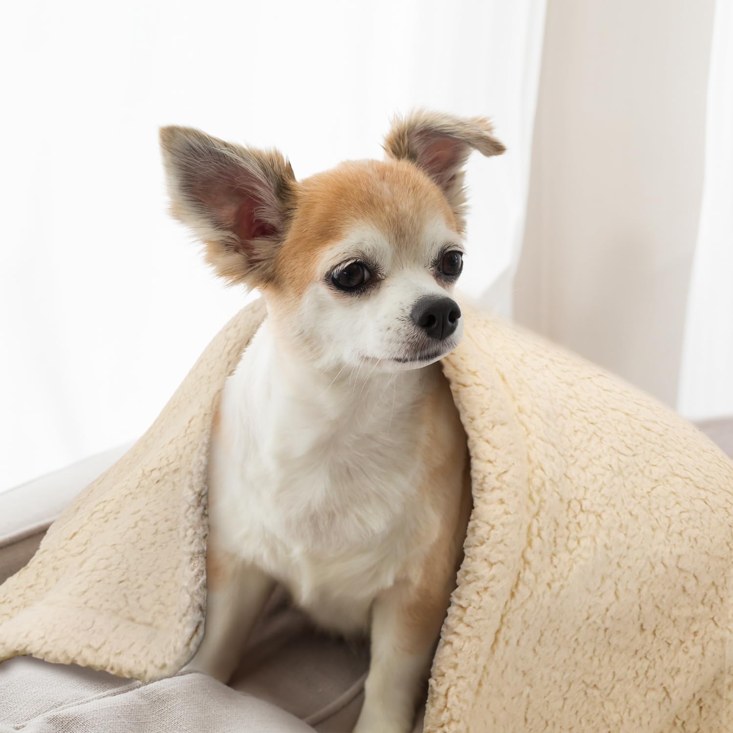 furrybaby dog blanket folded in storage bag offers compact travel convenience