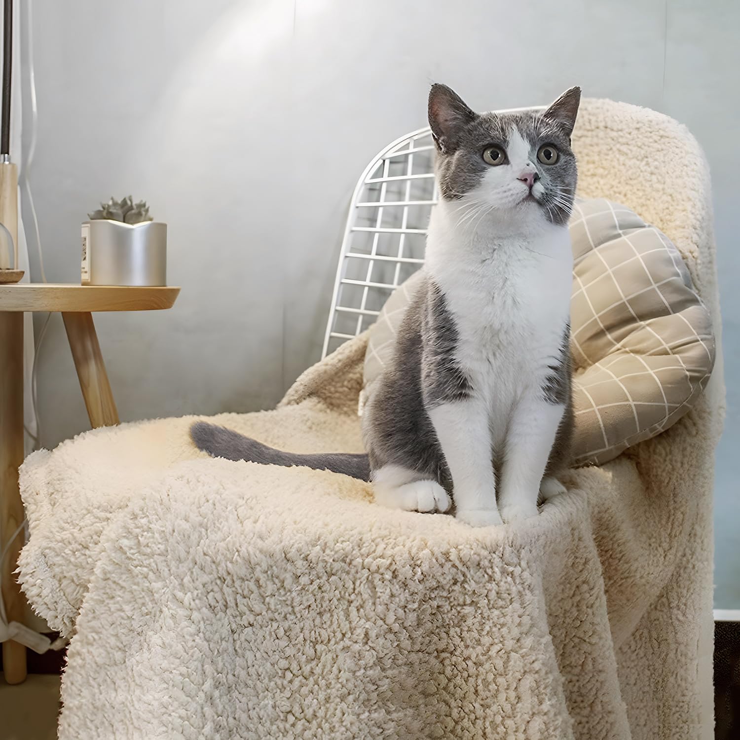Furrybaby machine-washable dog blanket for easy care and quick refresh.