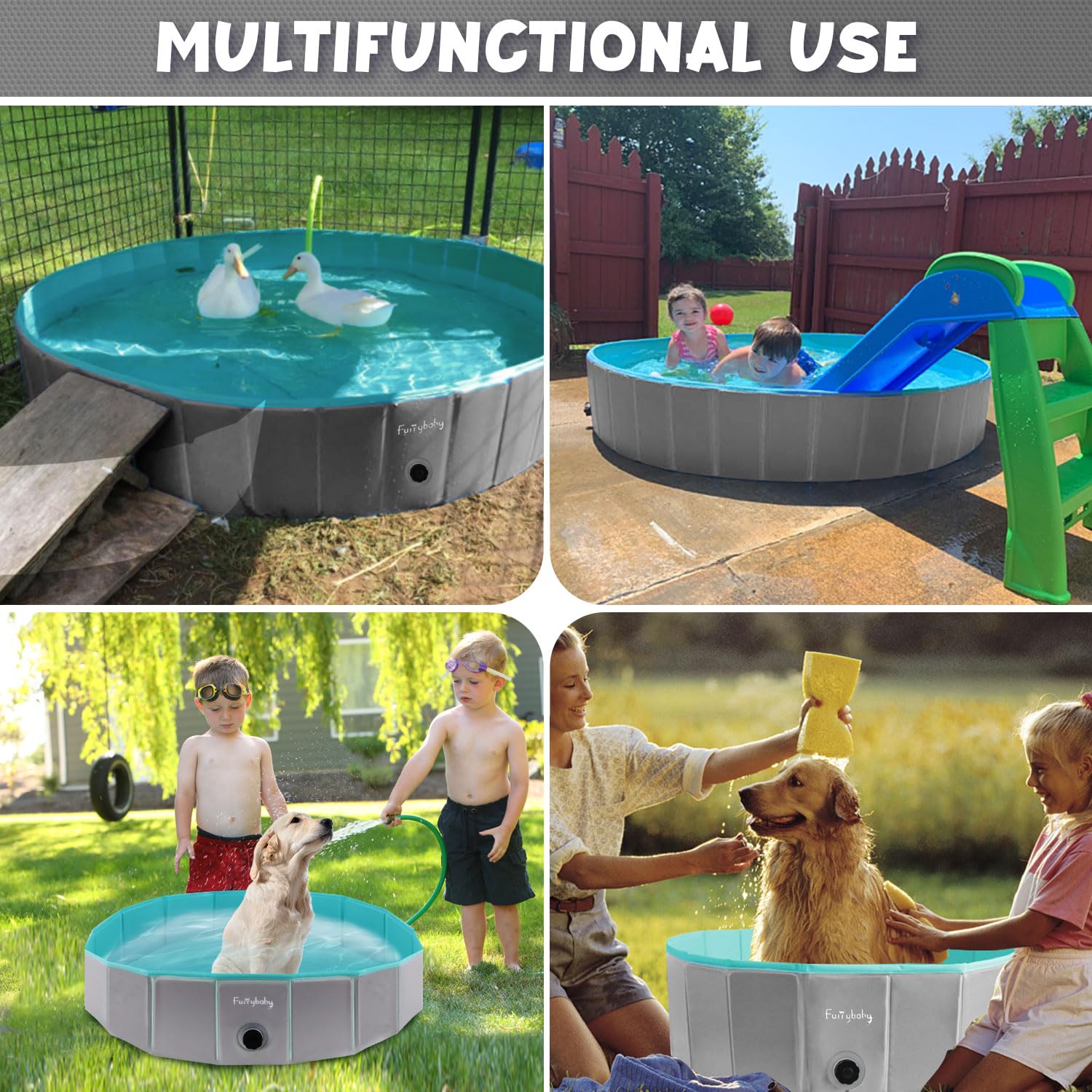 Furrybaby pets playing in pool outdoors demonstrates family-friendly splash time