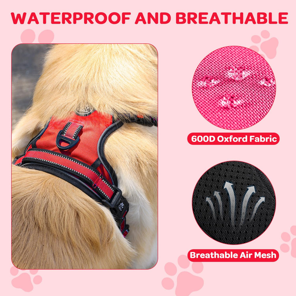 FURRYFECTION back D-ring harness for casual walks and easy training
