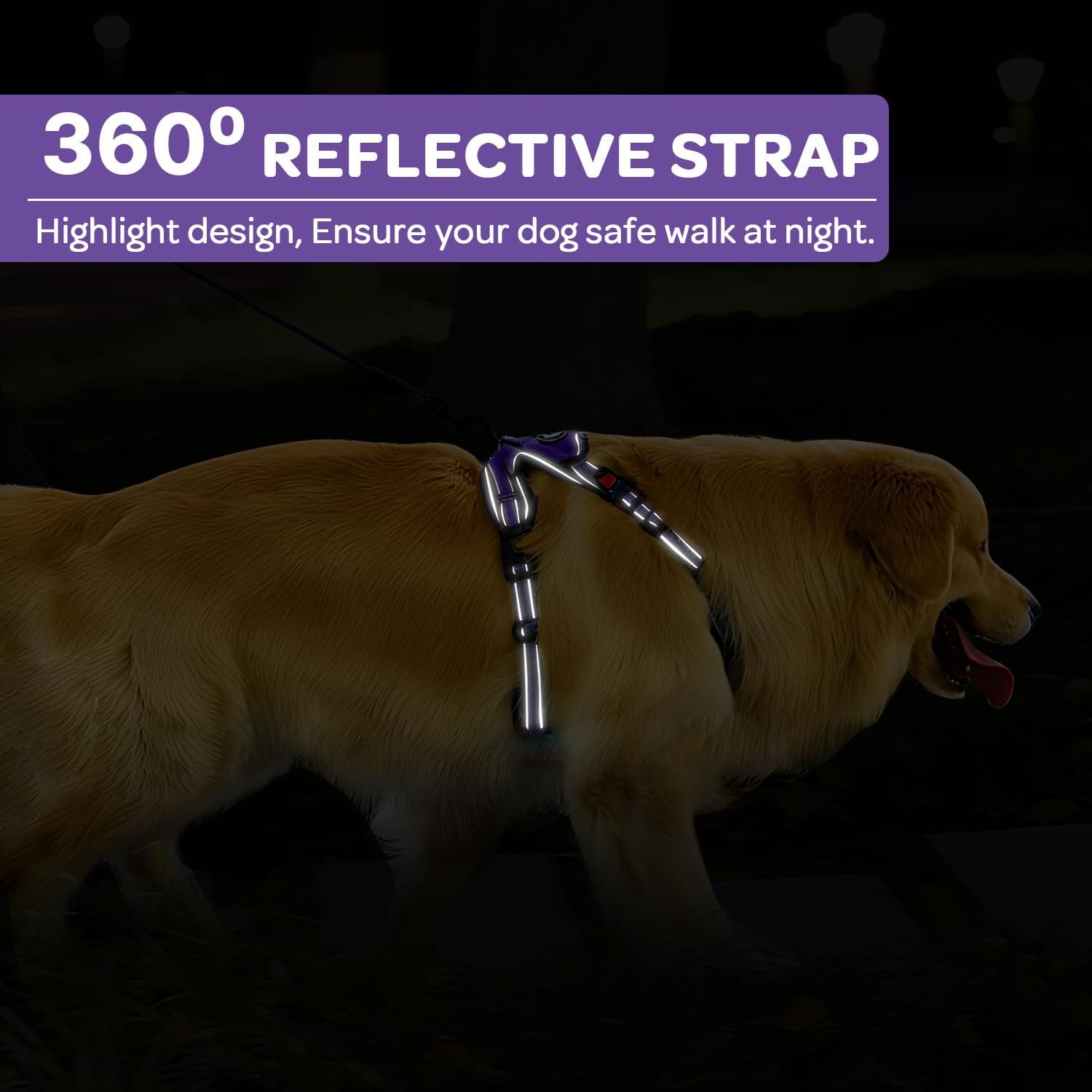 FURRYFECTION breathable nylon vest purple XL keeps dogs cool on outdoor adventures