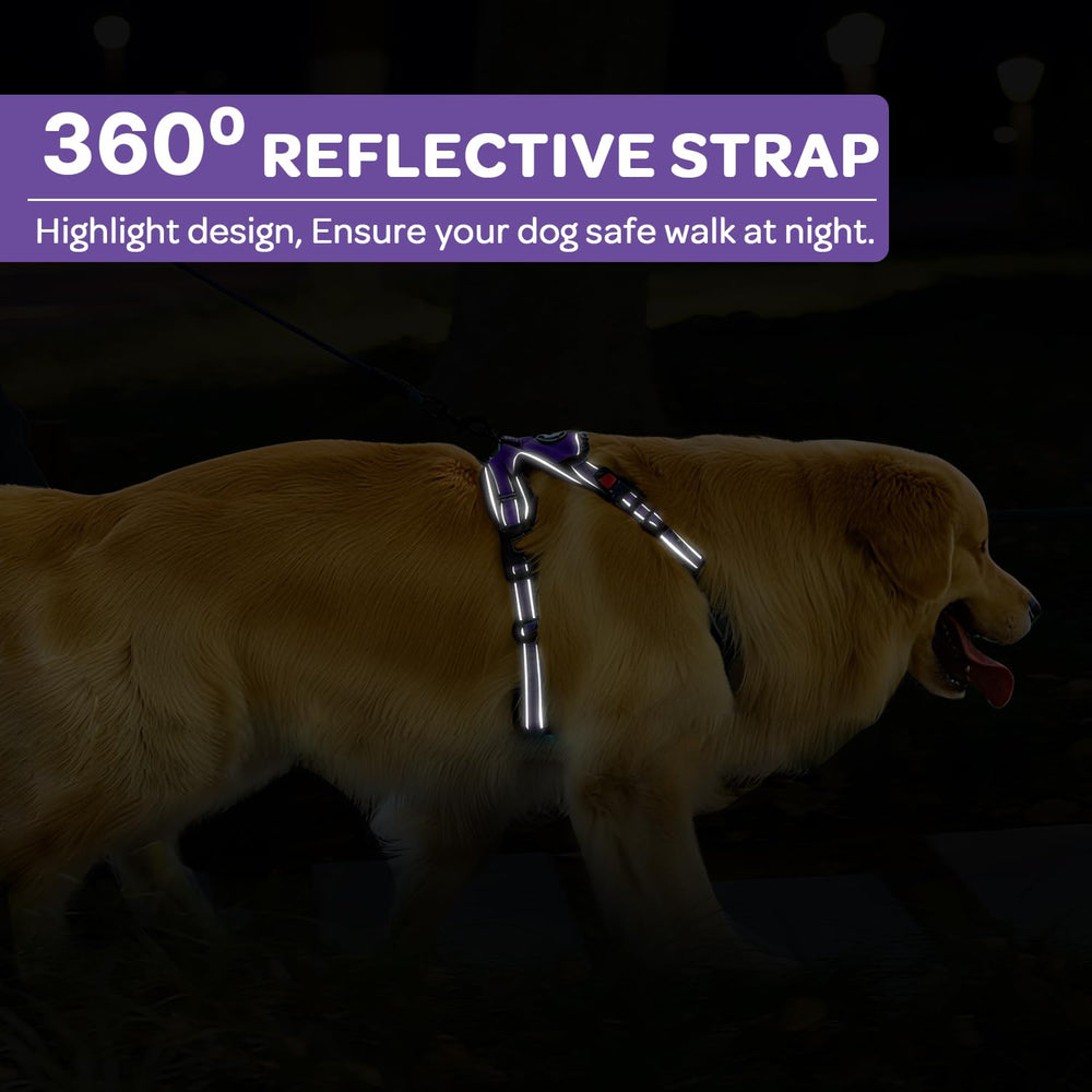 FURRYFECTION breathable nylon vest purple XL keeps dogs cool on outdoor adventures