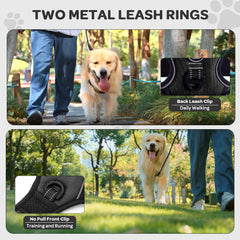 FURRYFECTION padded-handle harness provides extra control during active moments