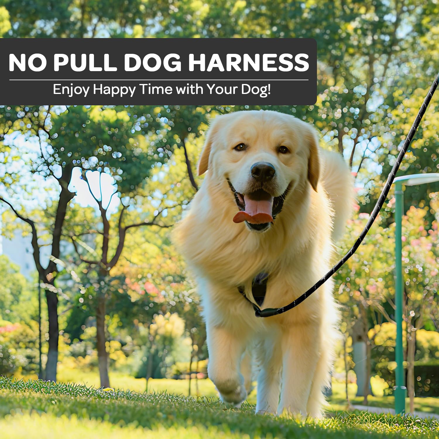 FURRYFECTION size-guide image helps pick the right fit for every dog