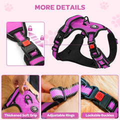 FURRYFECTION Rose XL harness reflective-straps image illustrating high-visibility during night walks.