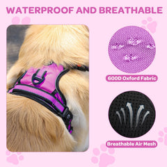 FURRYFECTION Rose XL harness back-view shows dual leash rings for versatile control.