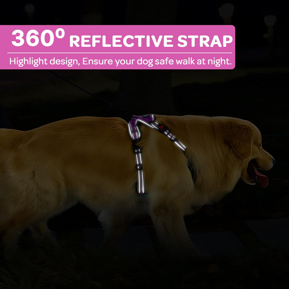 FURRYFECTION Rose XL harness chest-d-ring in-use for redirecting pulling during walks.