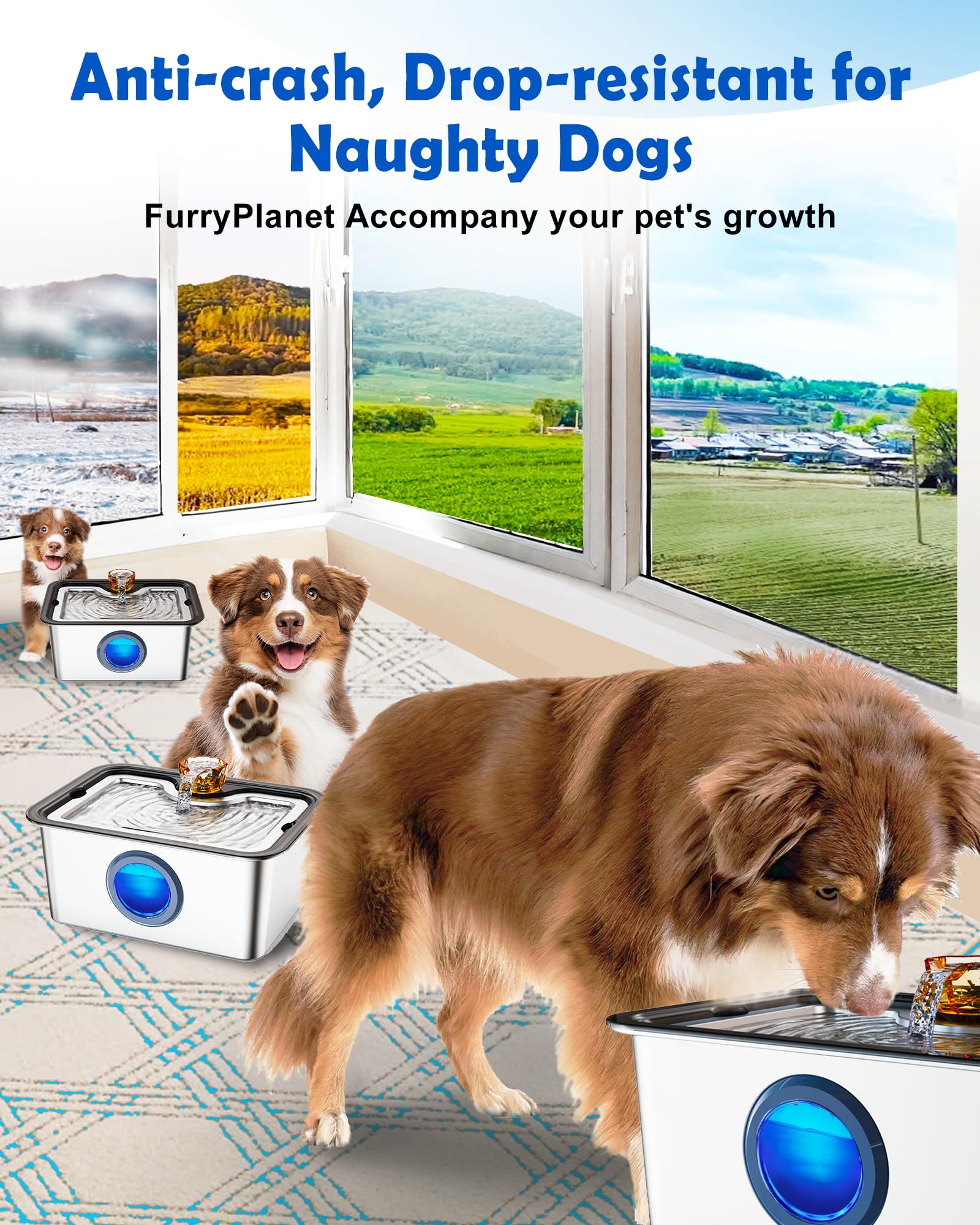 FurryPlanet large-dog water fountain 12l-capacity supports multi-pet households during busy days.