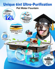 FurryPlanet large-dog water fountain wide drinking area provides ample hydration for big breeds.