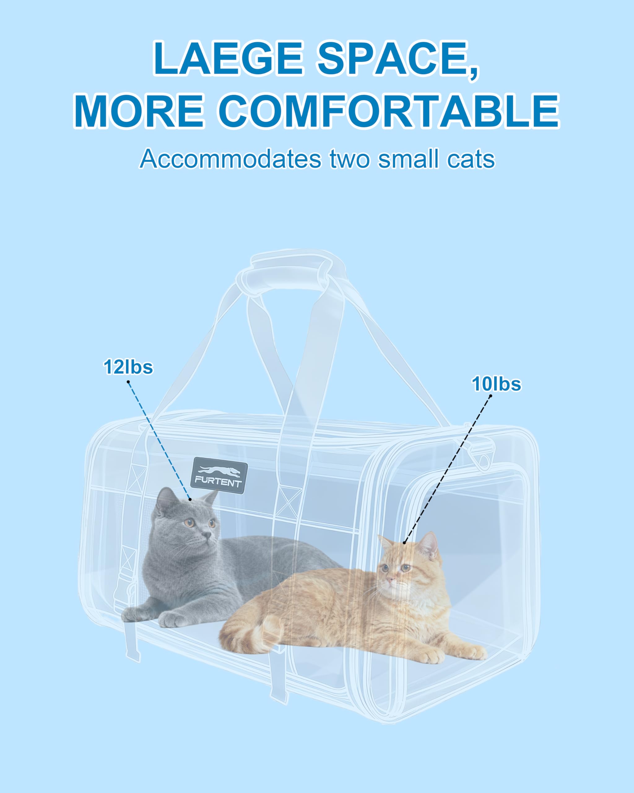 Furtent cat carrier safety leash inside clips to pet for added security.