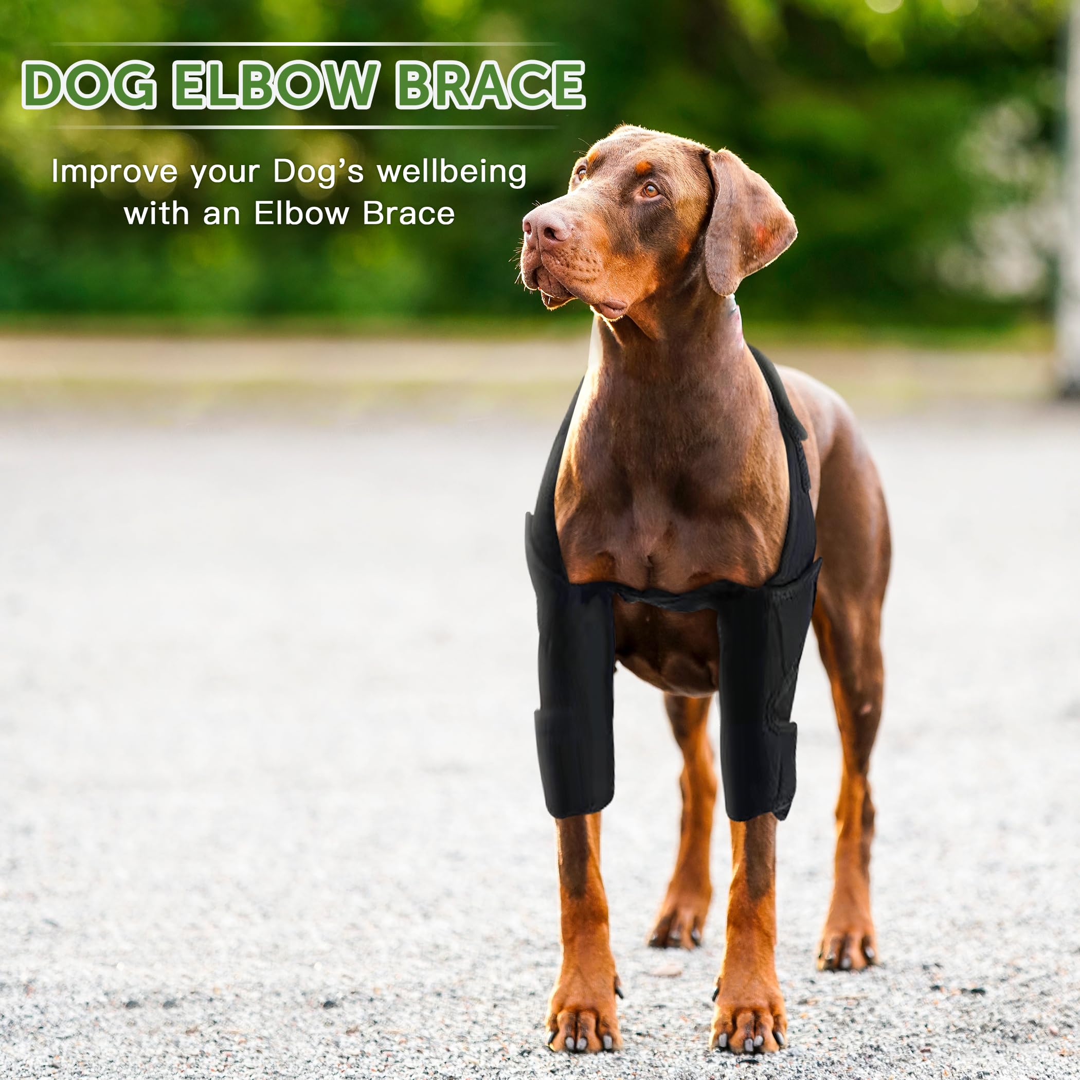 Furtent dog elbow brace with adjustable straps for a snug, customizable fit.