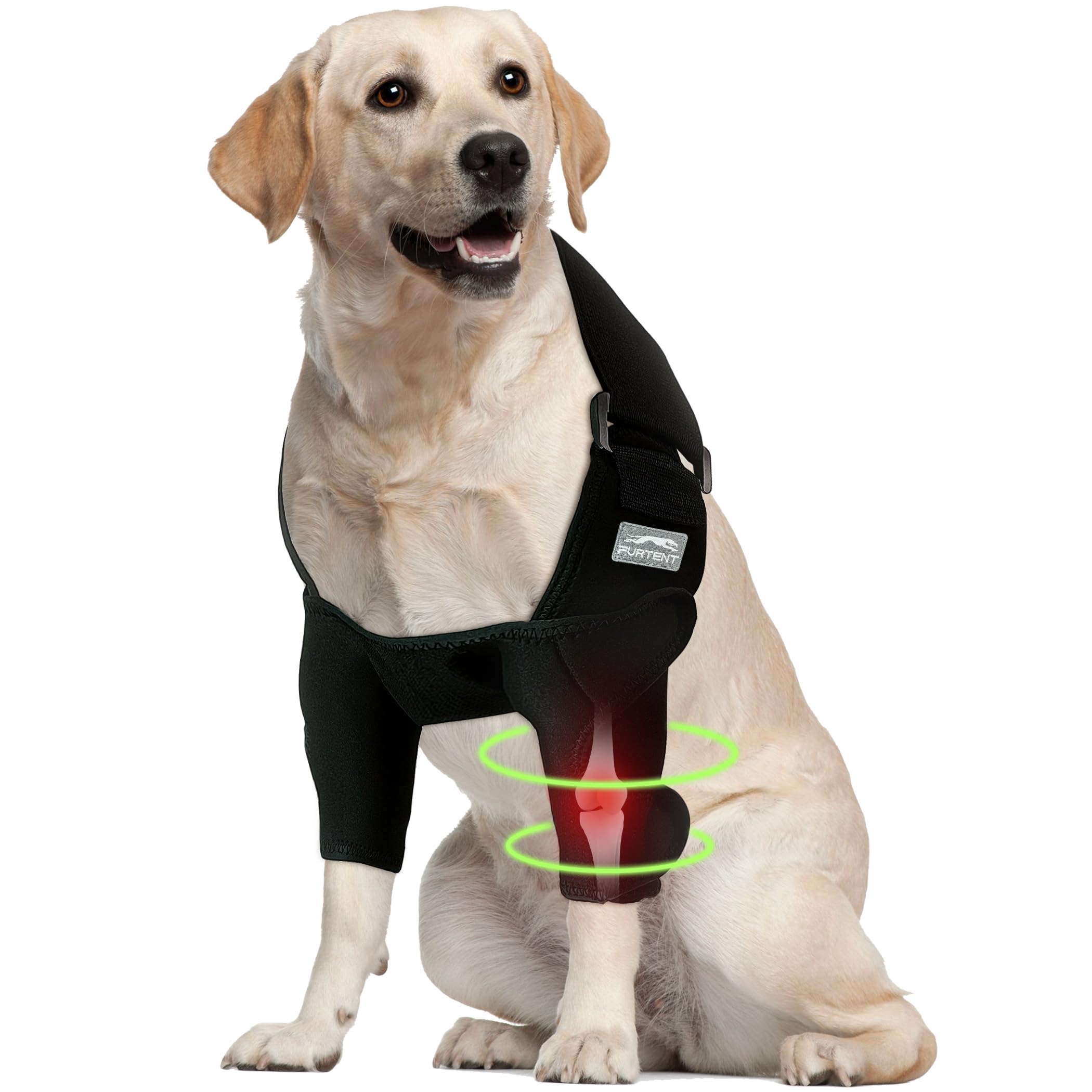Furtent dog elbow brace worn from the side for secure support during activity.