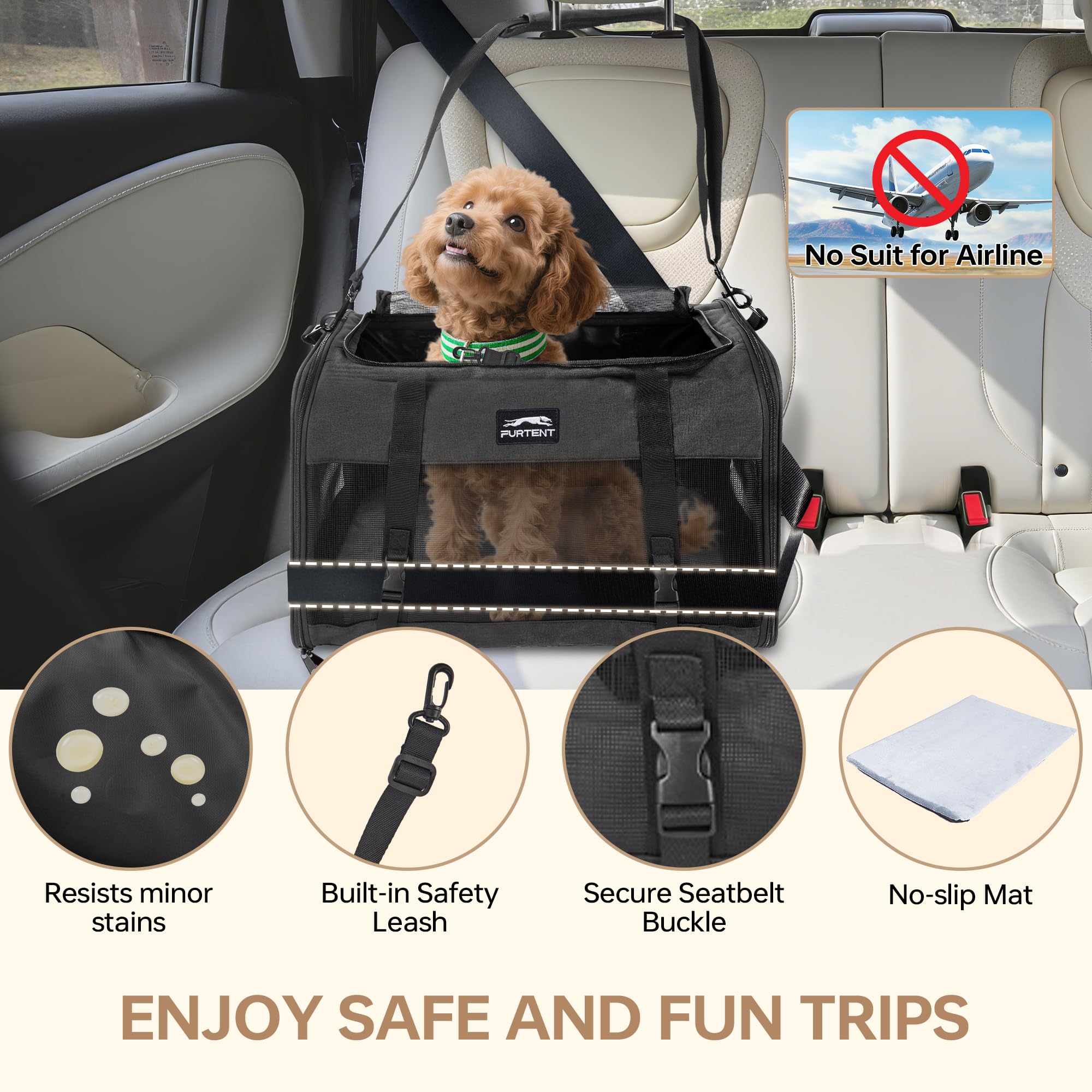 Furtent pet carrier interior spacious shows roomy 25 lb capacity for larger cats.