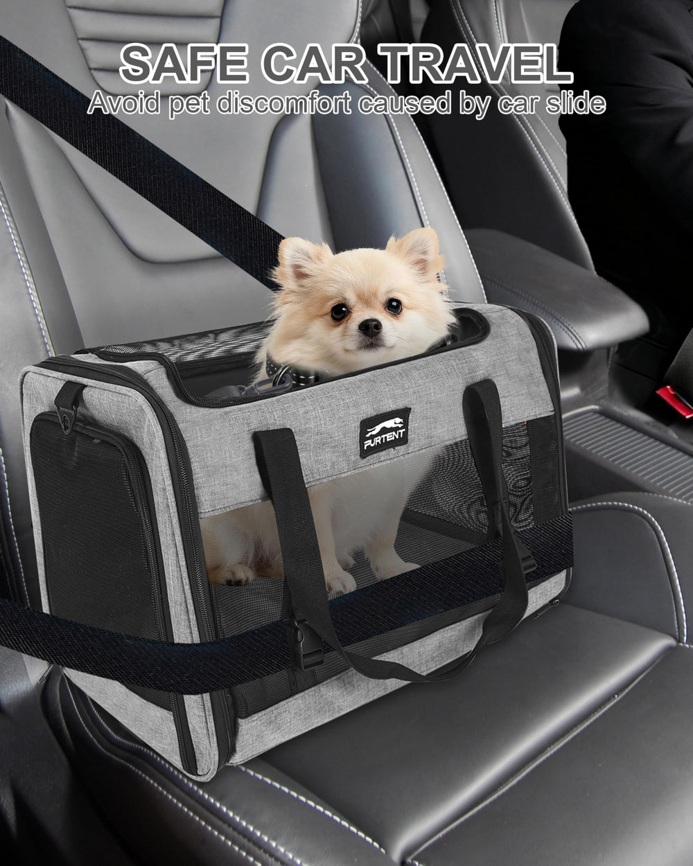 Furtent carrier measures 20x13x13 inches for larger cats and small dogs.