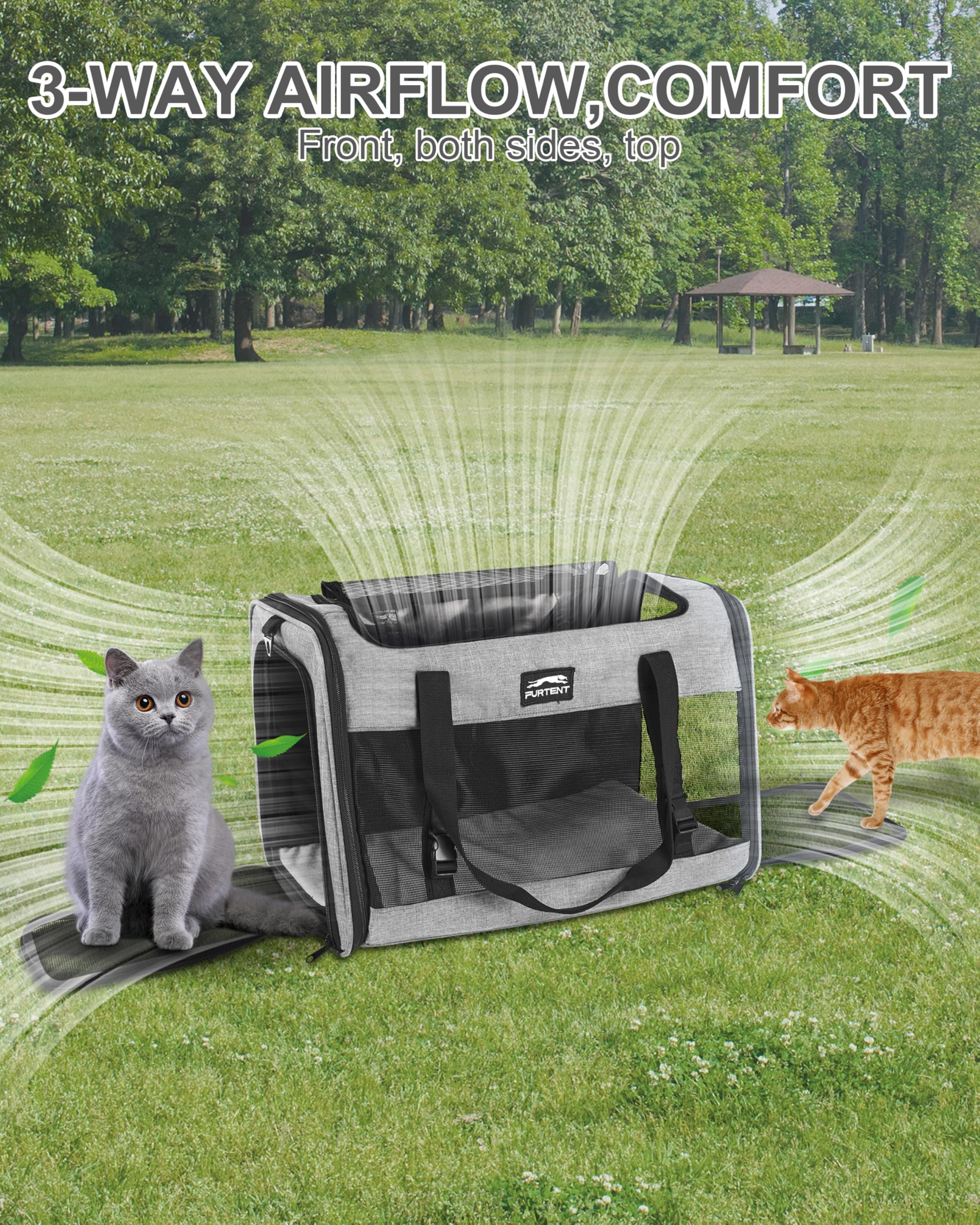 Furtent carrier offers four mesh panels for airflow and visibility.