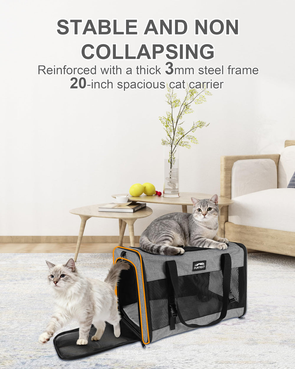 Furtent carrier with car buckle stabilizes during car trips.