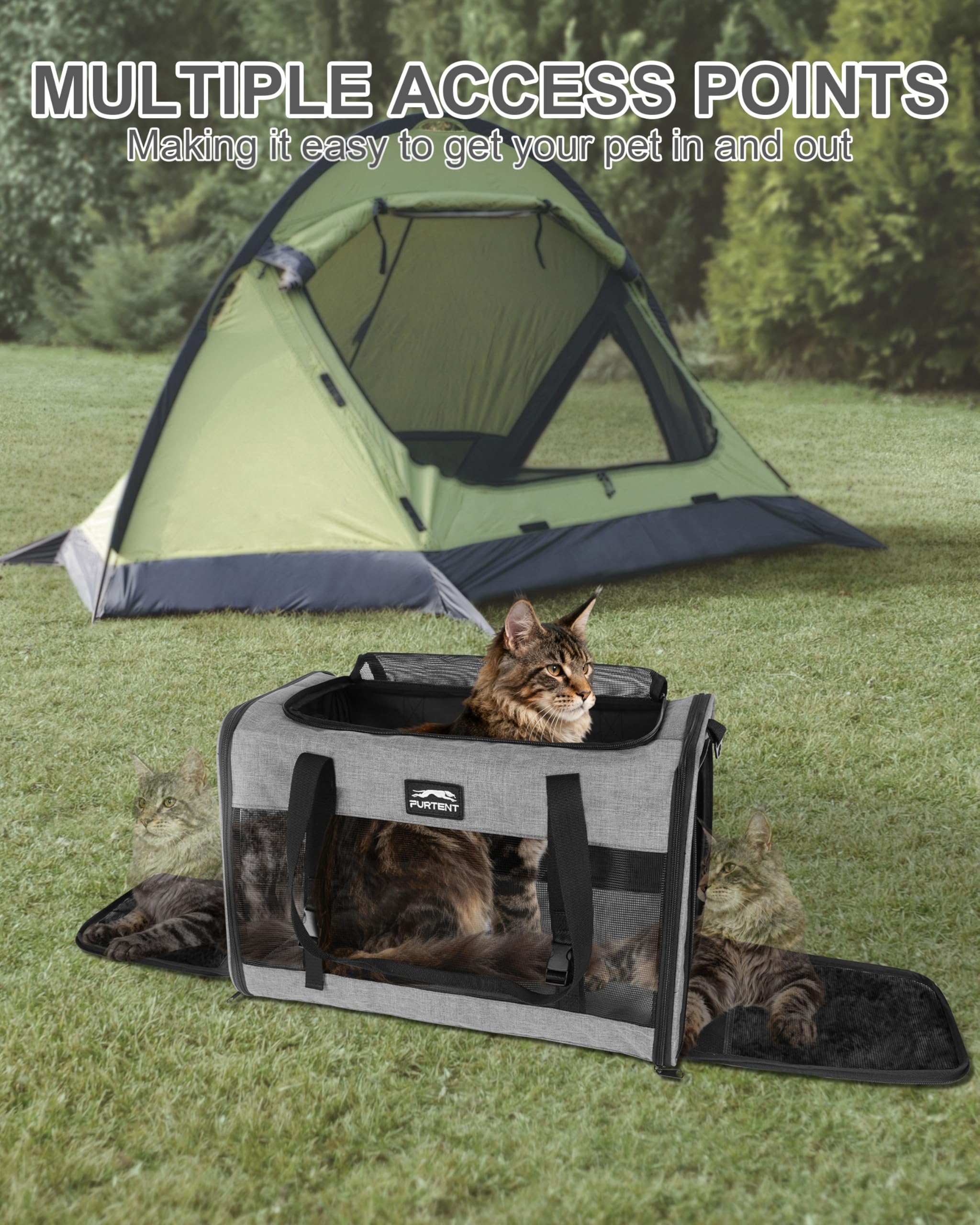 Furtent carrier with detachable shoulder strap for versatile carrying.