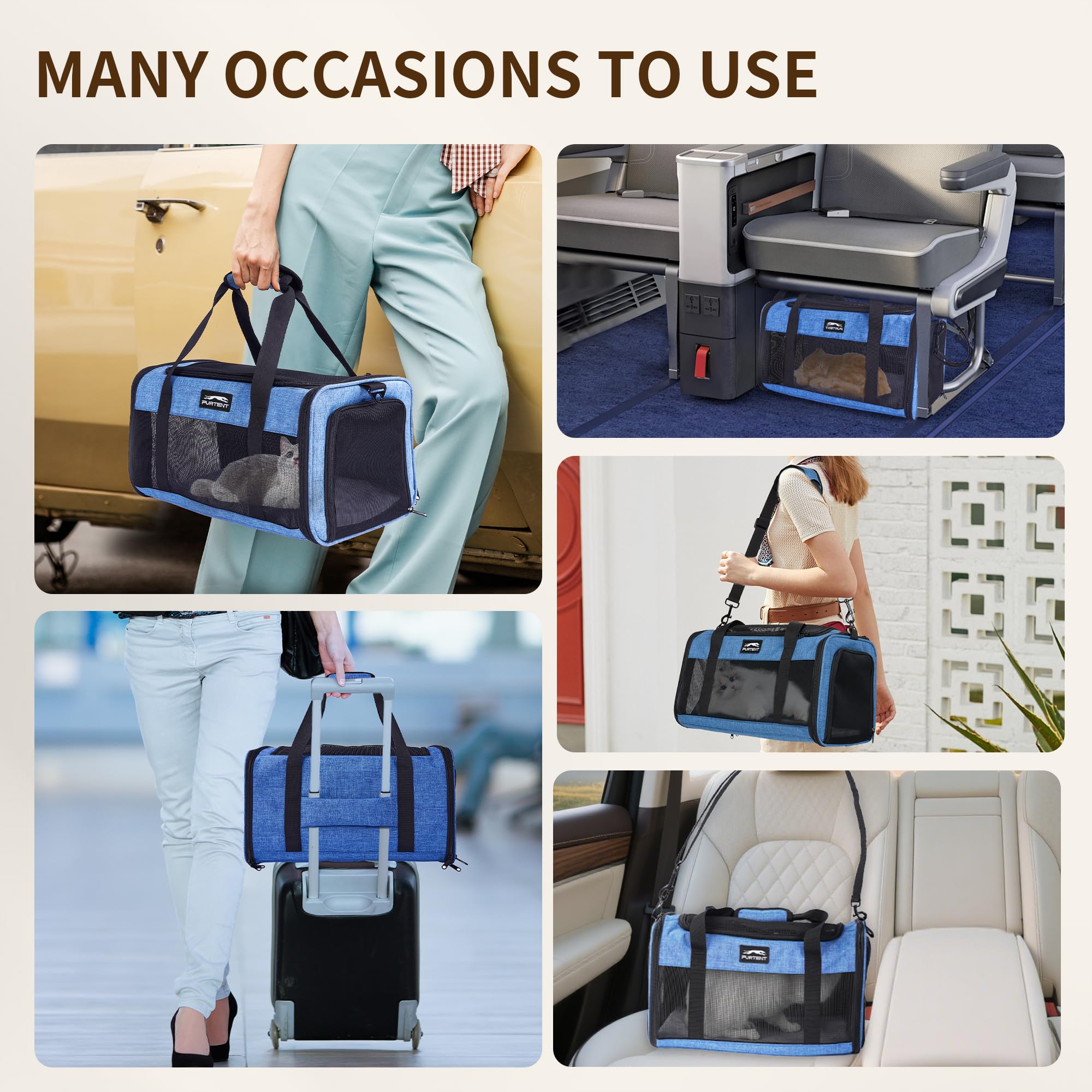 Furtent travel carrier ideal for flights, road trips, and vet visits.