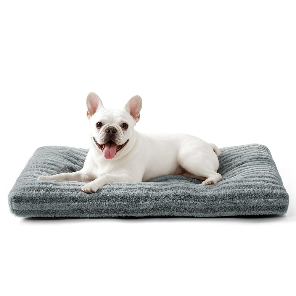 FURTIME dog bed front view shows inviting shape for cozy naps
