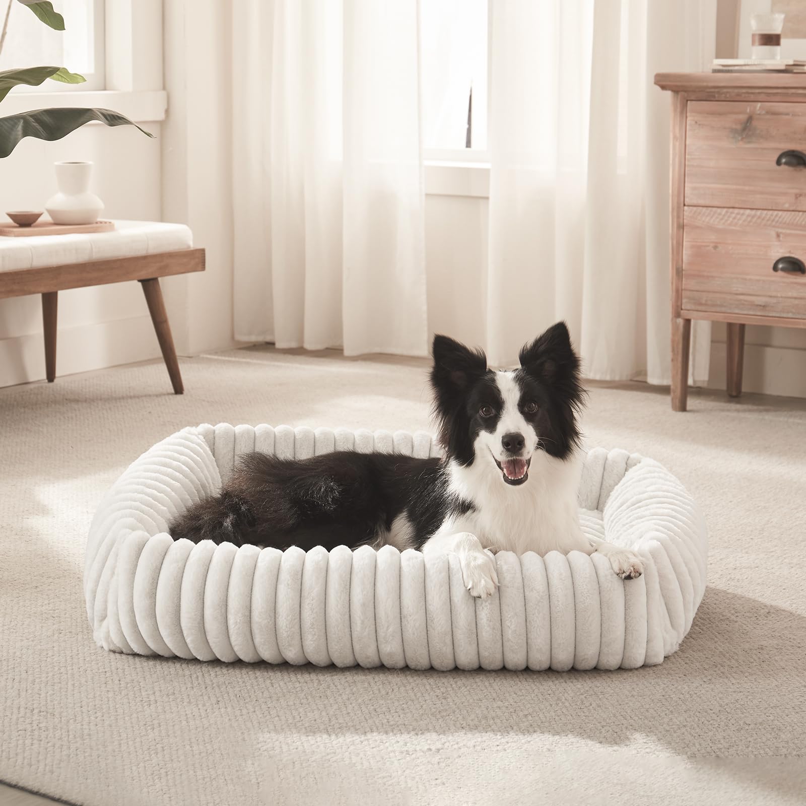 FURTIME medium-size bed 25x21x7 designed for dogs up to 20 lbs
