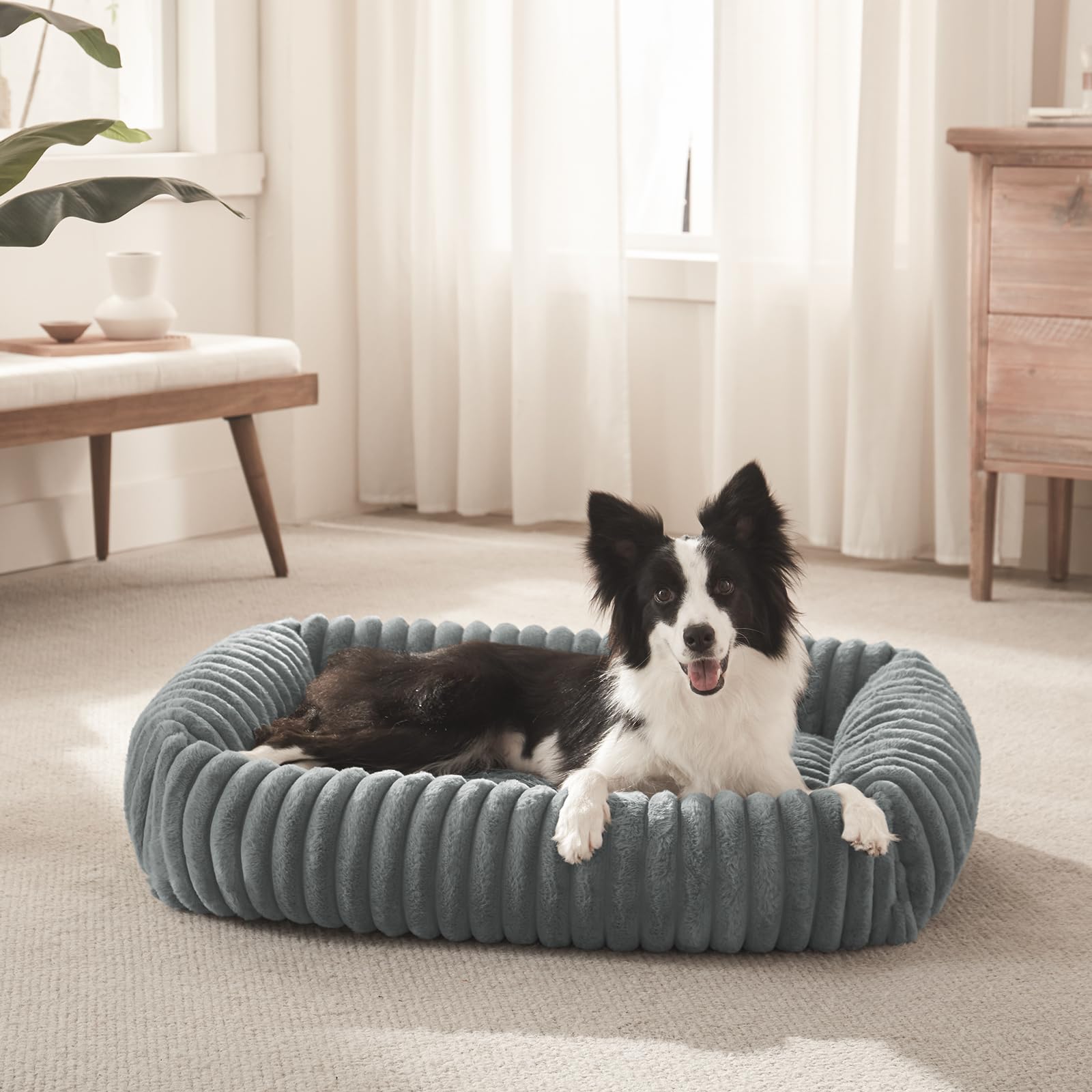 FURTIME dog bed size m-plus 30x24x8 fits medium dogs up to 40lbs.