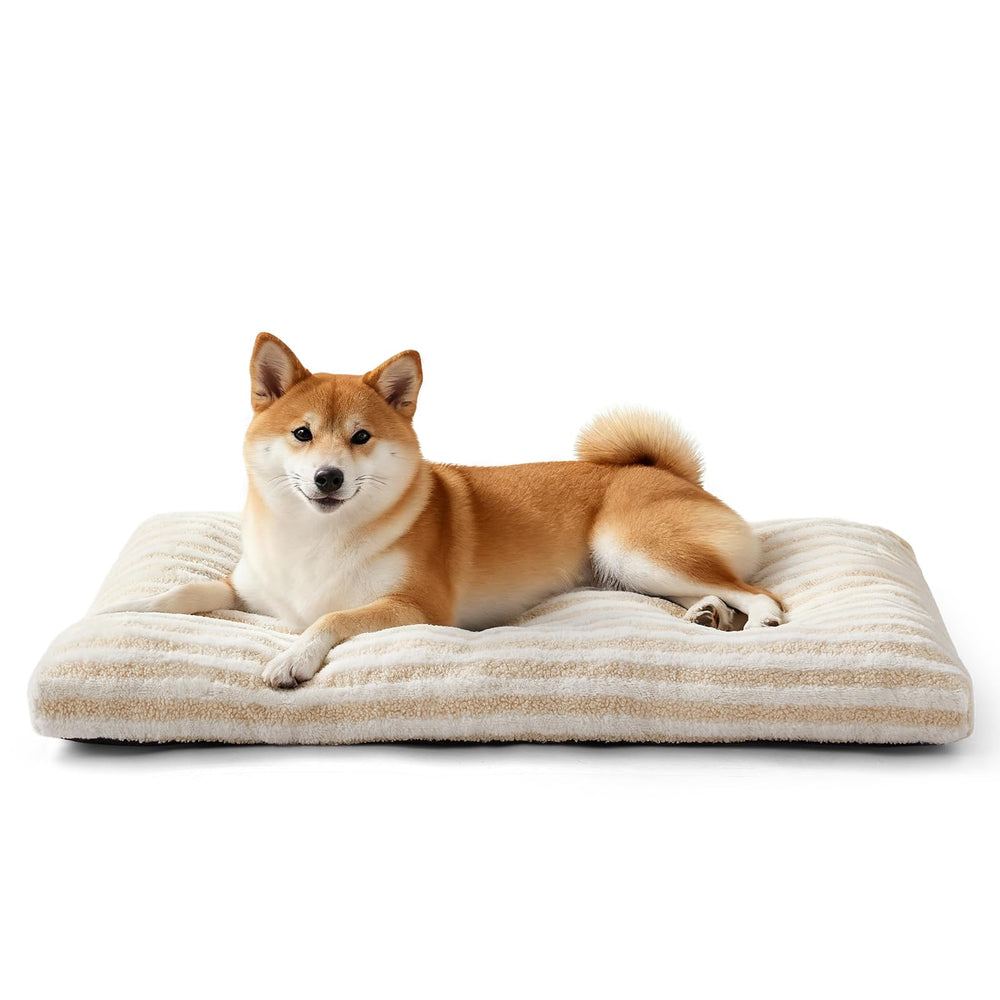 FURTIME Washable Dog Bed Medium plush-fabric close-up for cozy lounging.