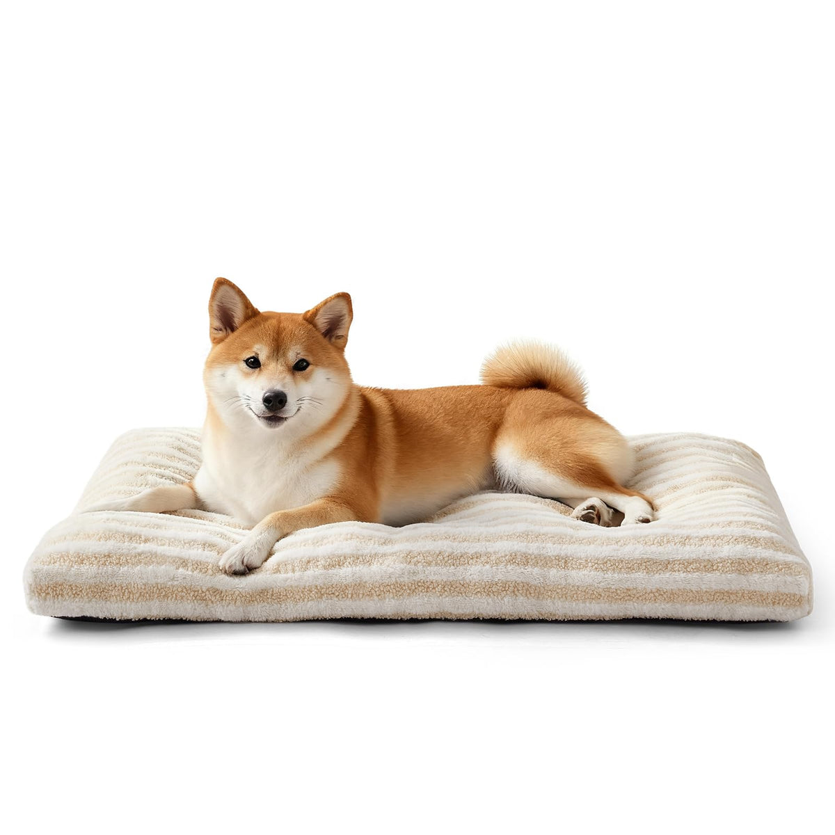 FURTIME Washable Dog Bed Medium plush-fabric close-up for cozy lounging.