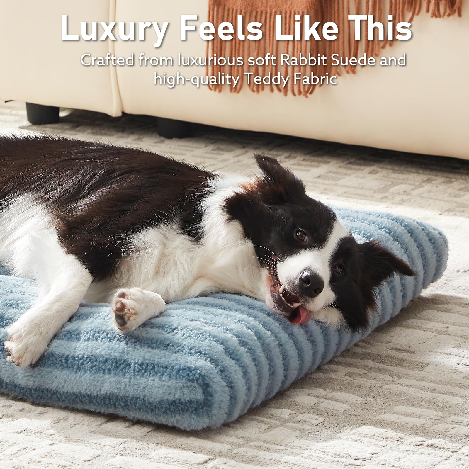 FURTIME washable dog bed medium with thick padding supporting joints for restful sleep.