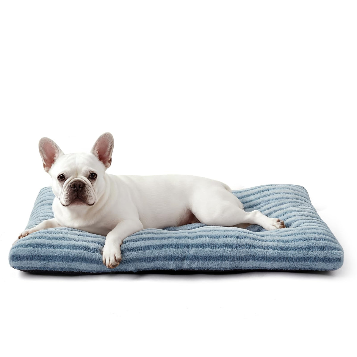 FURTIME washable small dog bed compact design ideal for travel and home use