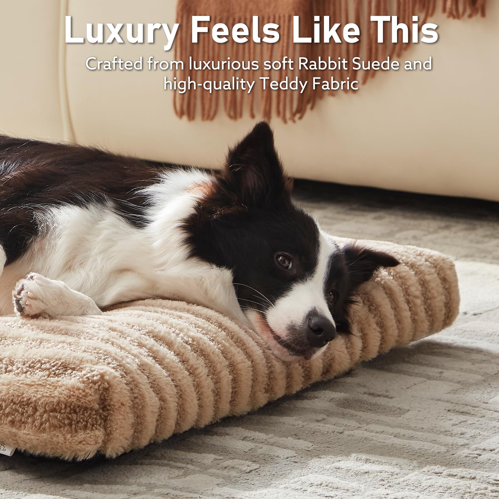FURTIME Washable Small Dog Bed six-keyhole design keeps padding evenly placed.