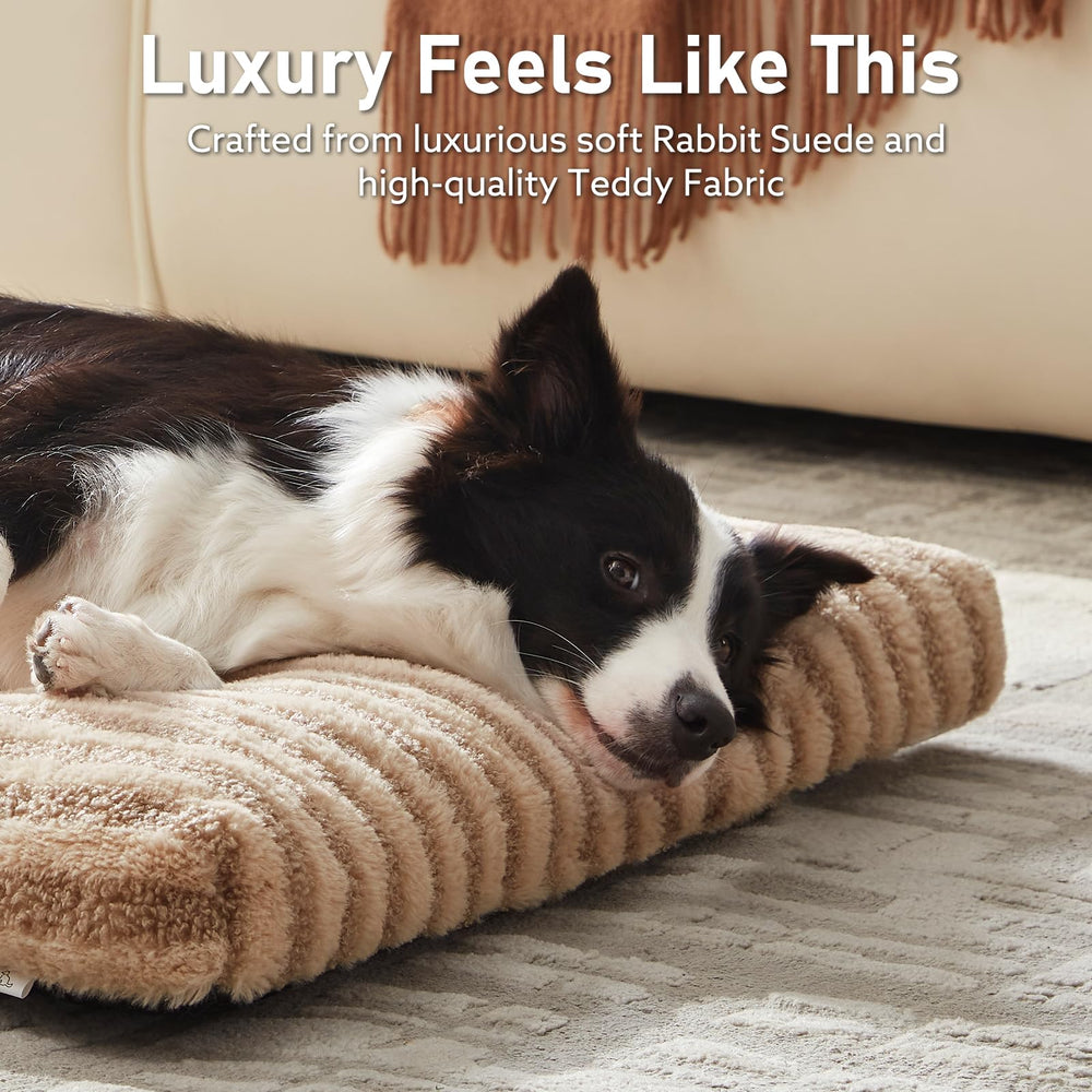 FURTIME Washable Small Dog Bed six-keyhole design keeps padding evenly placed.
