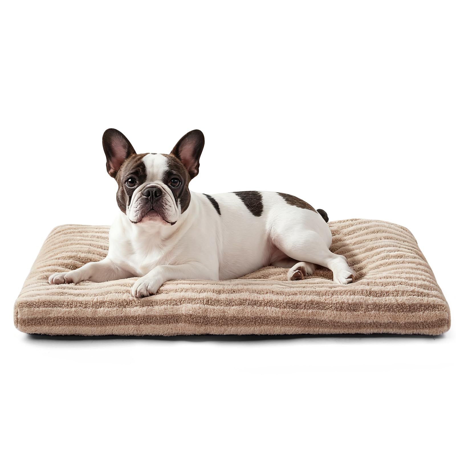FURTIME Washable Small Dog Bed soft fabric close-up for plush, skin-friendly comfort.