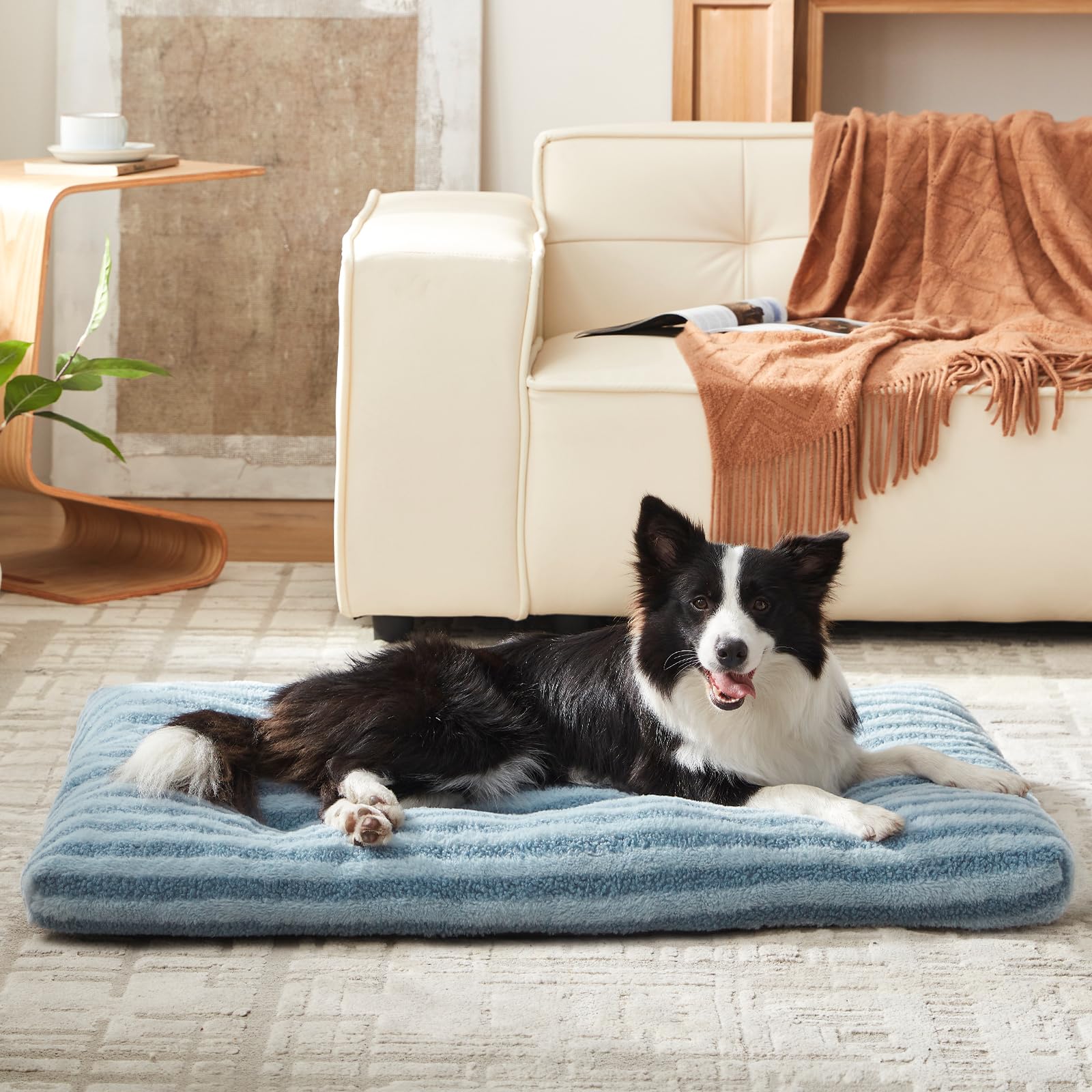 FURTIME Washable XXL Dog Bed unboxing and fluffing to restore loft after shipping.