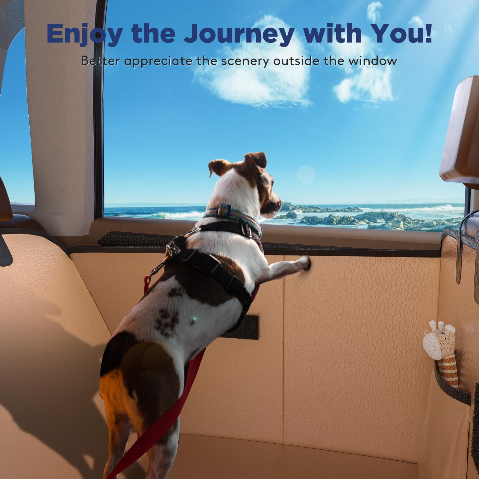 FURTIME XL dog-space focus shows ample room for large breeds.
